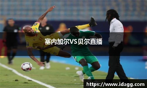 塞内加尔VS贝尔直播